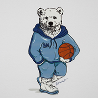 NOLAN PRINTED BALL HANDLER